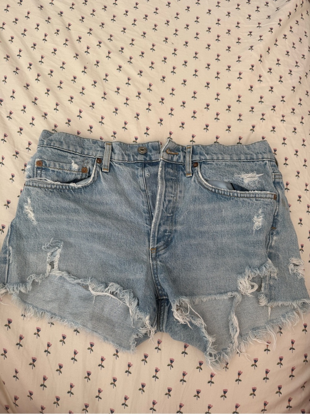 AGolde Light Blue Distressed Denim Women's Shorts
